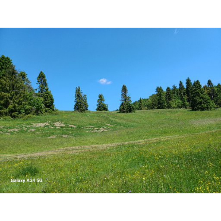 Valné zhromaždenie Urbarialistov obce Bartošovce - POZVÁNKA